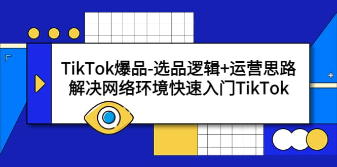 TikTok爆品-选品逻辑 运营思路：解决网络环境快速入门TikTok-领航创业网