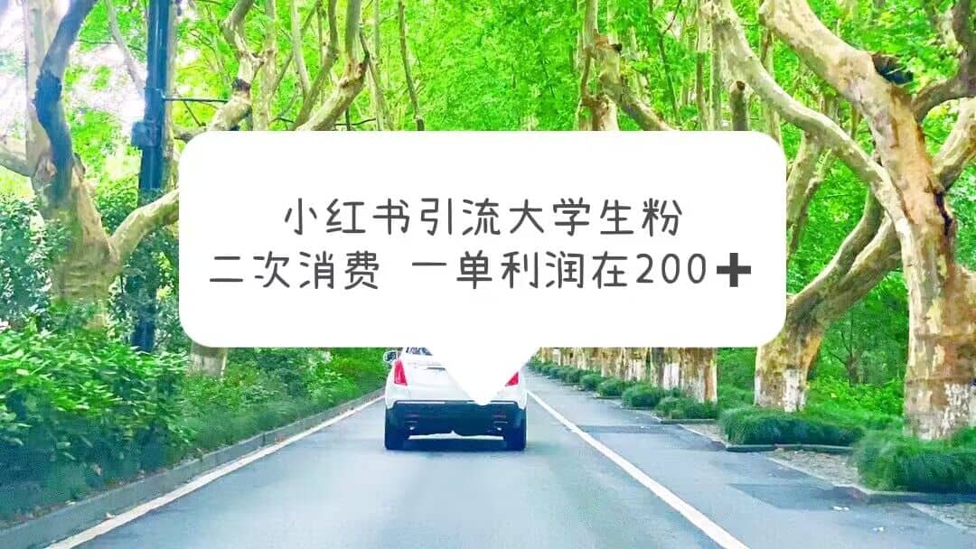 小红书引流大学生粉，变现项目，一单利润在200 （教程 资源）-领航创业网