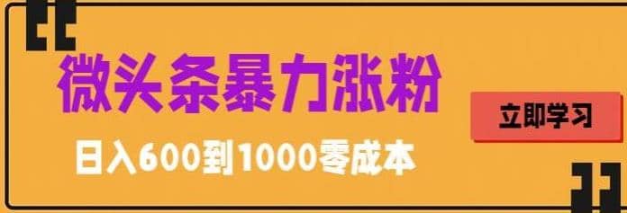 微头条暴力涨粉技巧搬运文案就能涨几万粉丝，简单0成本，日赚600-领航创业网