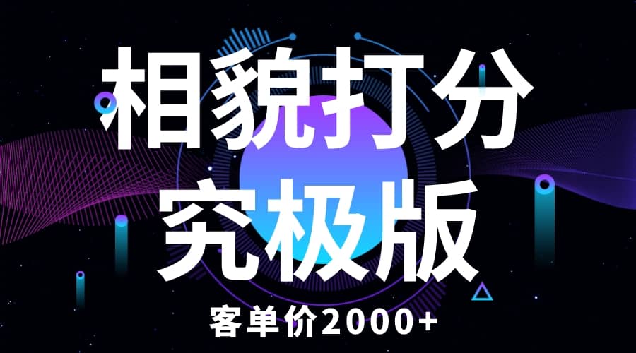 相貌打分究极版，客单价2000 纯新手小白就可操作的项目-领航创业网