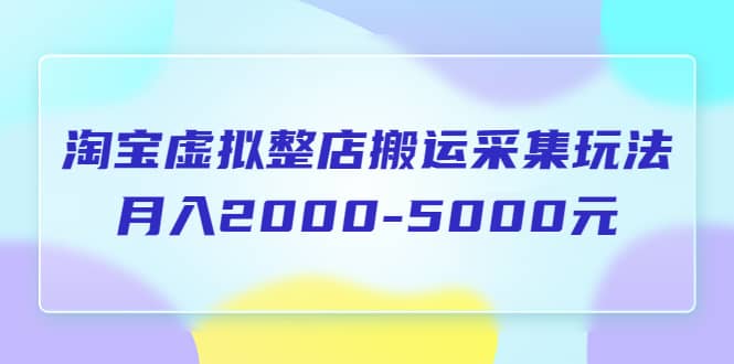 淘宝虚拟整店搬运采集玩法分享课：月入2000-5000元（5节课）-领航创业网