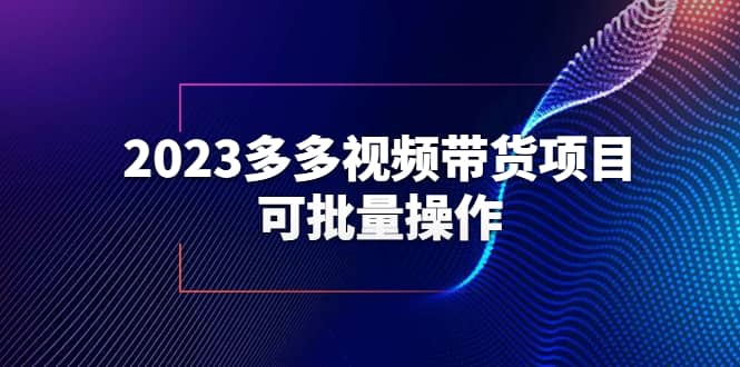 2023多多视频带货项目，可批量操作【保姆级教学】-领航创业网