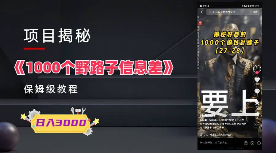 1000个野路子信息差保姆式教程-单日变现3000 的玩法解密-领航创业网