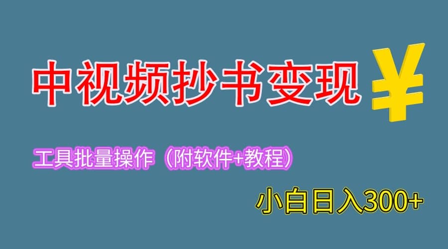 2023中视频抄书变现（附工具 教程），一天300 ，特别适合新手操作的副业-领航创业网