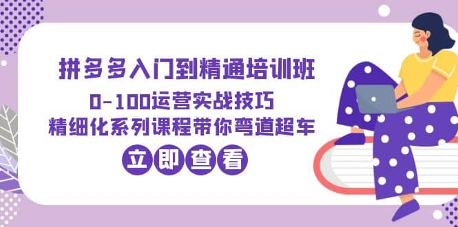 2023拼多多入门到精通培训班：0-100运营实战技巧 精细化系列课带你弯道超车-领航创业网