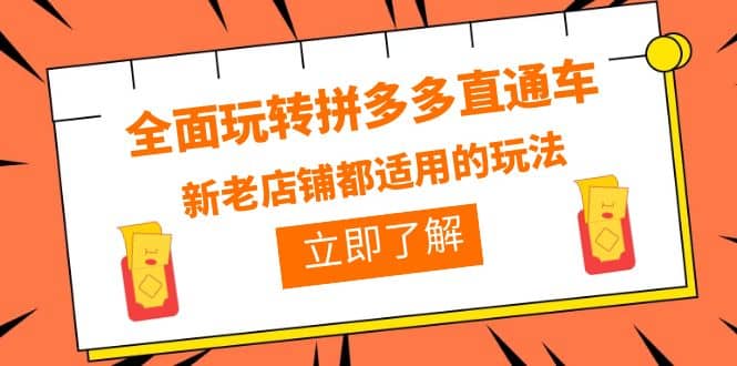 全面玩转拼多多直通车，新老店铺都适用的玩法（12节精华课）-领航创业网