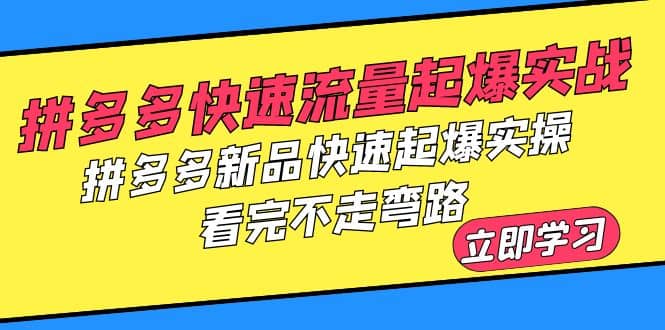 拼多多-快速流量起爆实战，拼多多新品快速起爆实操，看完不走弯路-领航创业网