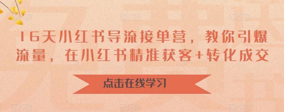 16天-小红书 导流接单营，教你引爆流量，在小红书精准获客 转化成交-领航创业网