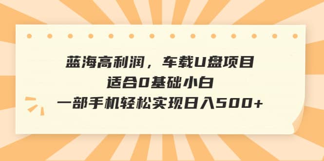 蓝海高利润，车载U盘项目，适合0基础小白，一部手机轻松实现日入500-领航创业网