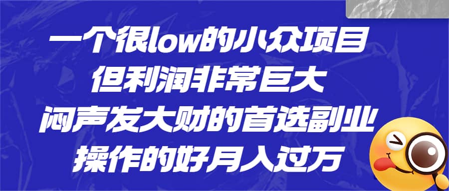 一个很low的小众项目，但利润非常巨大，闷声发大财的首选副业，月入过万-领航创业网