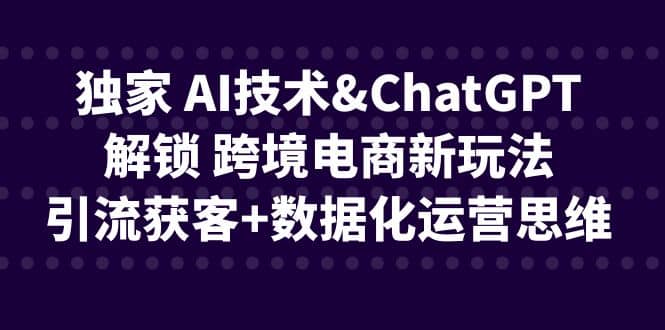 独家 AI技术ChatGPT解锁 跨境电商新玩法，引流获客 数据化运营思维-领航创业网