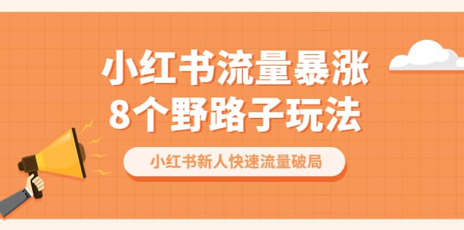 小红书流量-暴涨8个野路子玩法：小红书新人快速流量破局（8节课）-领航创业网