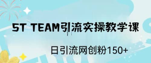 ST TEAM引流实操课，日引流网创粉100-领航创业网