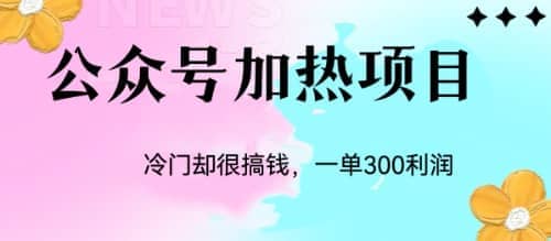 冷门公众号加热项目，一单利润300-领航创业网