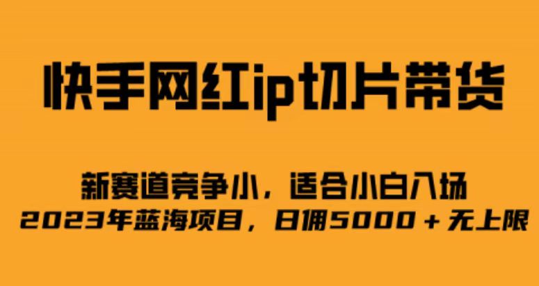 快手网红ip切片新赛道，竞争小事，适合小白 2023蓝海项目-领航创业网