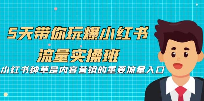 5天带你玩爆小红书流量实操班，小红书种草是内容营销的重要流量入口-领航创业网