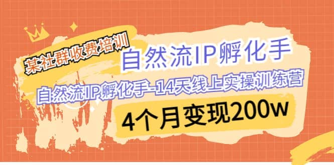 某社群收费培训：自然流IP 孵化手-14天线上实操训练营 4个月变现200w-领航创业网