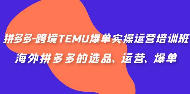 拼多多-跨境TEMU爆单实操运营培训班，海外拼多多的选品、运营、爆单-领航创业网