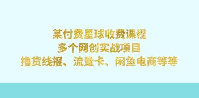 某付费星球课程：多个网创实战项目，撸货线报、流量卡、闲鱼电商等等-领航创业网