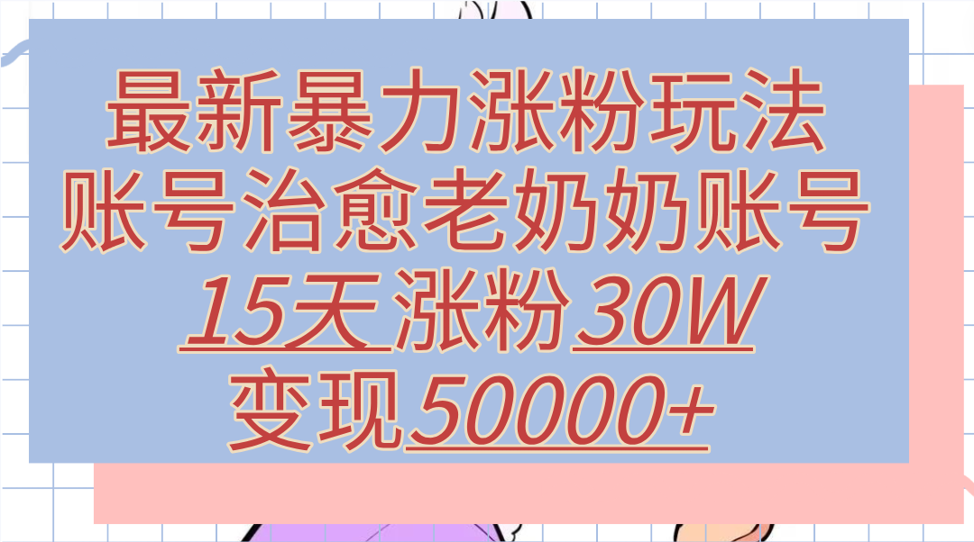 最新暴力涨粉玩法，治愈老奶奶账号，15天涨粉30W，变现50000+【揭秘】-领航创业网