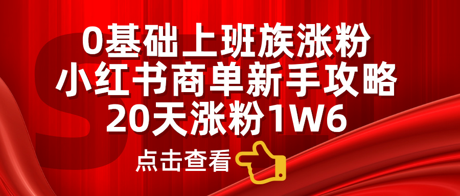 0基础上班族涨粉，小红书商单新手攻略，20天涨粉1.6w-领航创业网