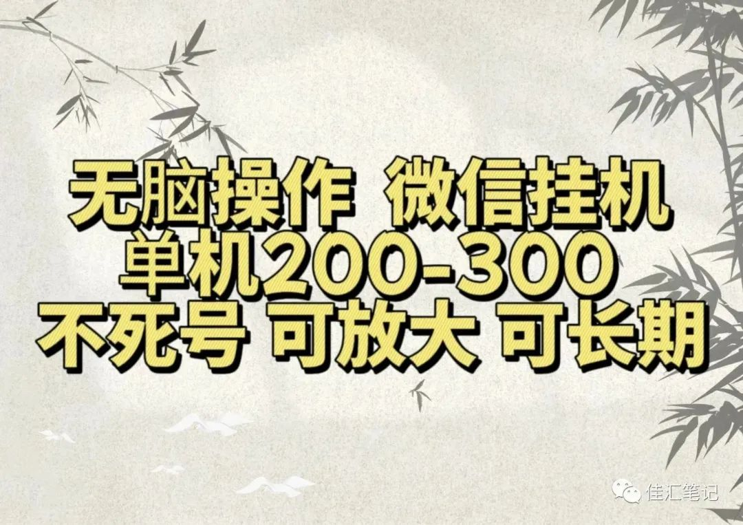 无脑操作微信视频号挂机单机200-300一天，不死号，可放大，工作室实测-领航创业网