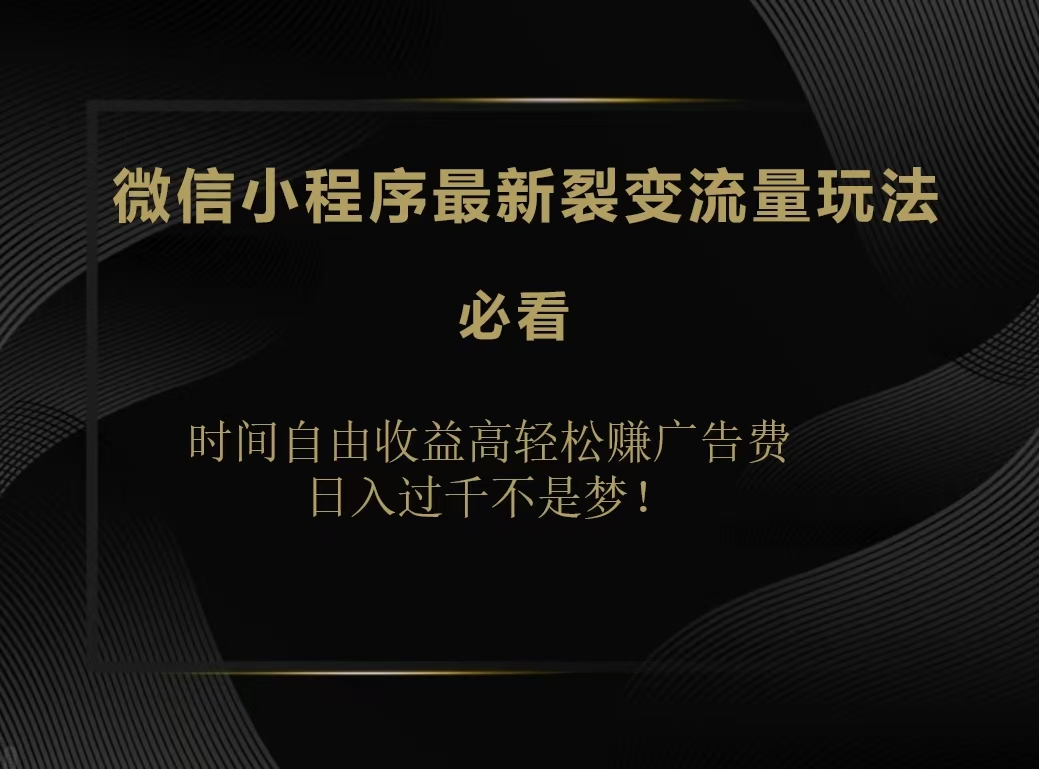 微信小程序最新裂变流量玩法，时间自由收益高轻松赚广告费，日入200-500+-领航创业网