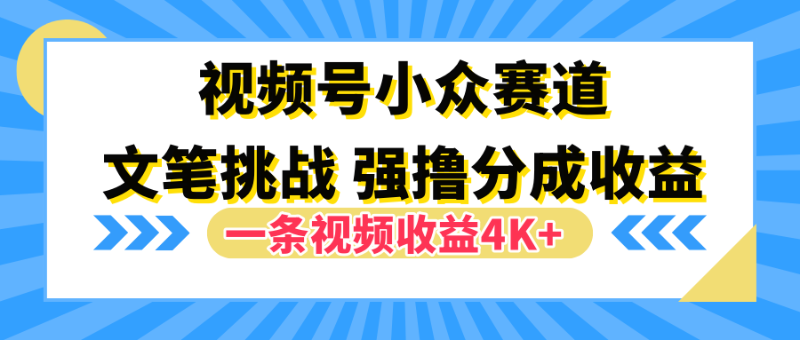 视频号小众赛道，文笔挑战，一条视频收益4K+-领航创业网