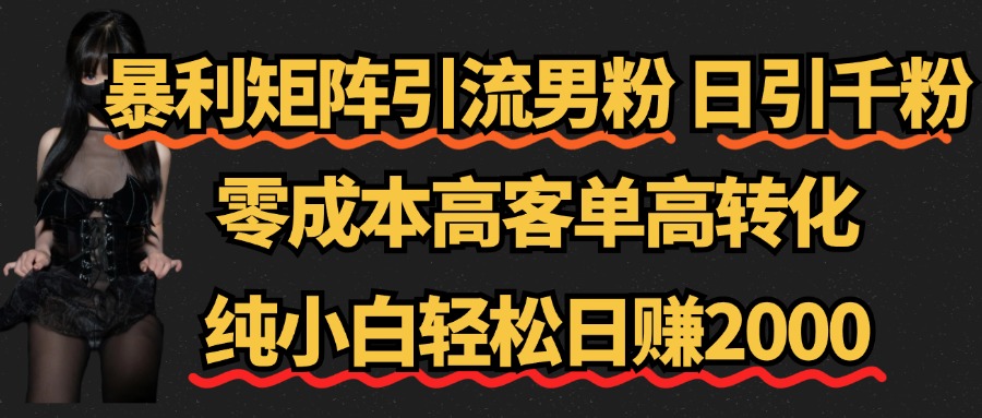 暴利矩阵引流男粉（日引千粉），零成本高客单高转化，纯小白轻松日赚2000+-领航创业网