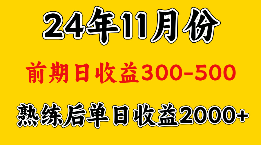 轻资产项目，前期日收益500左右，后期日收益1500-2000左右，多劳多得-领航创业网