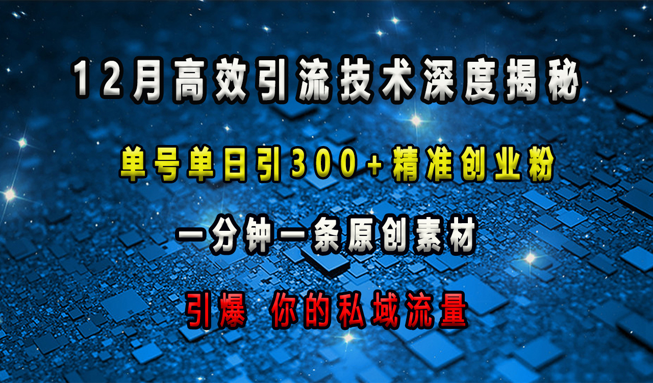 12月高效引流技术深度揭秘 ，单号单日引300+精准创业粉，一分钟一条原创素材，引爆你的私域流量-领航创业网