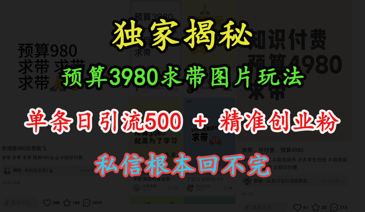 “小红书”预算3980求带 图片玩法，单条日引流500+精准创业粉，私信根本回不完-领航创业网