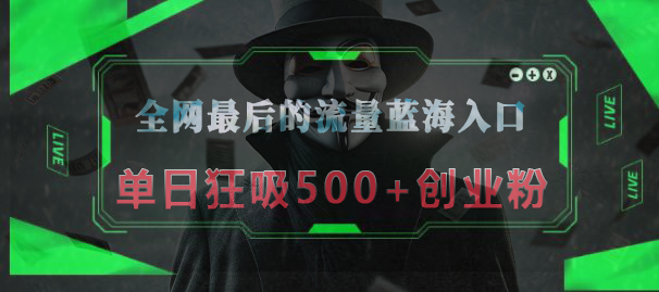 全网最后的流量蓝海入口，半小时引流50+创业粉，单日狂吸500+创业粉-领航创业网