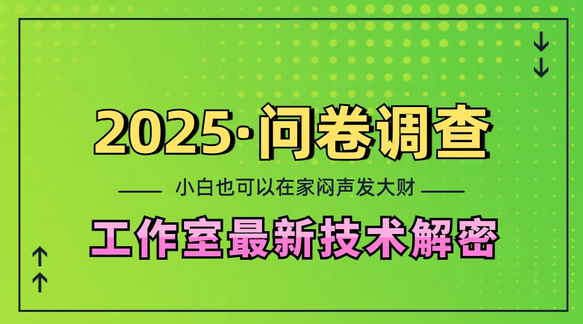 2025《问卷调查》最新工作室技术解密：一个人在家也可以闷声发大财，小白一天200+，可矩阵放大-领航创业网