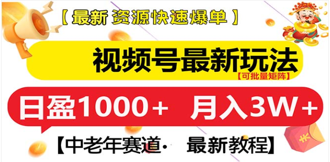 视频号独家玩法，老年养生赛道，无脑搬运爆款视频，日入1000+-领航创业网