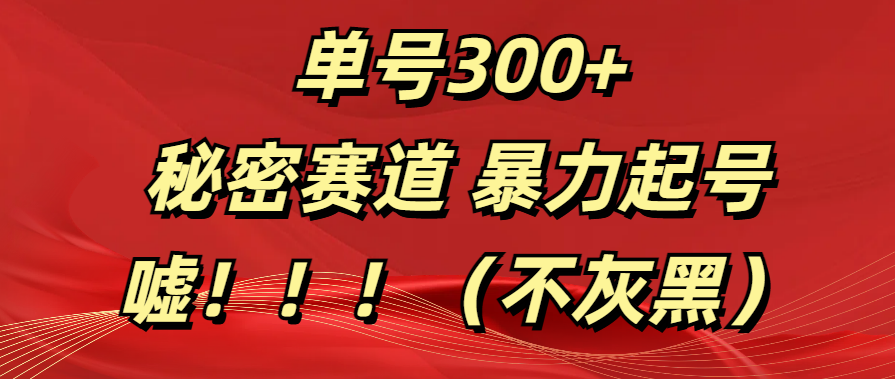 单号300+  秘密赛道 暴力起号  （不灰黑）-领航创业网