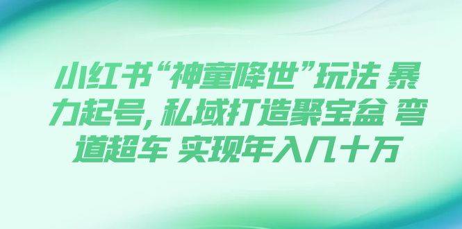 小红书“神童降世”玩法 暴力起号,私域打造聚宝盆 弯道超车 实现年入几十万-领航创业网