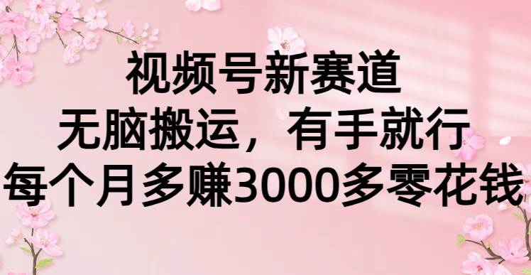 视频号新赛道，无脑搬运，有手就行，每个月多赚3000多零花钱-领航创业网