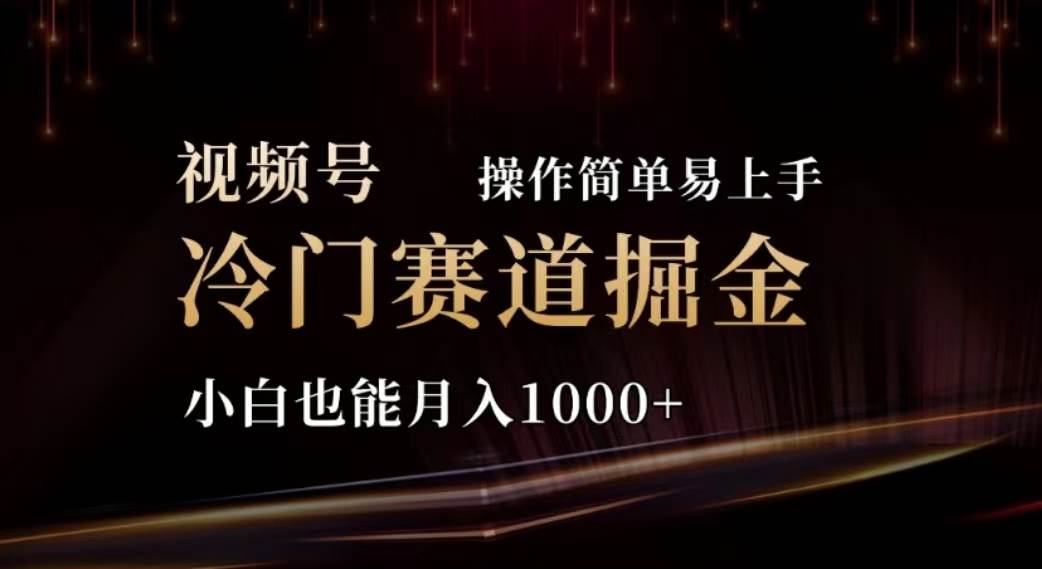 2024视频号冷门赛道掘金，操作简单轻松上手，小白也能月入1000+-领航创业网